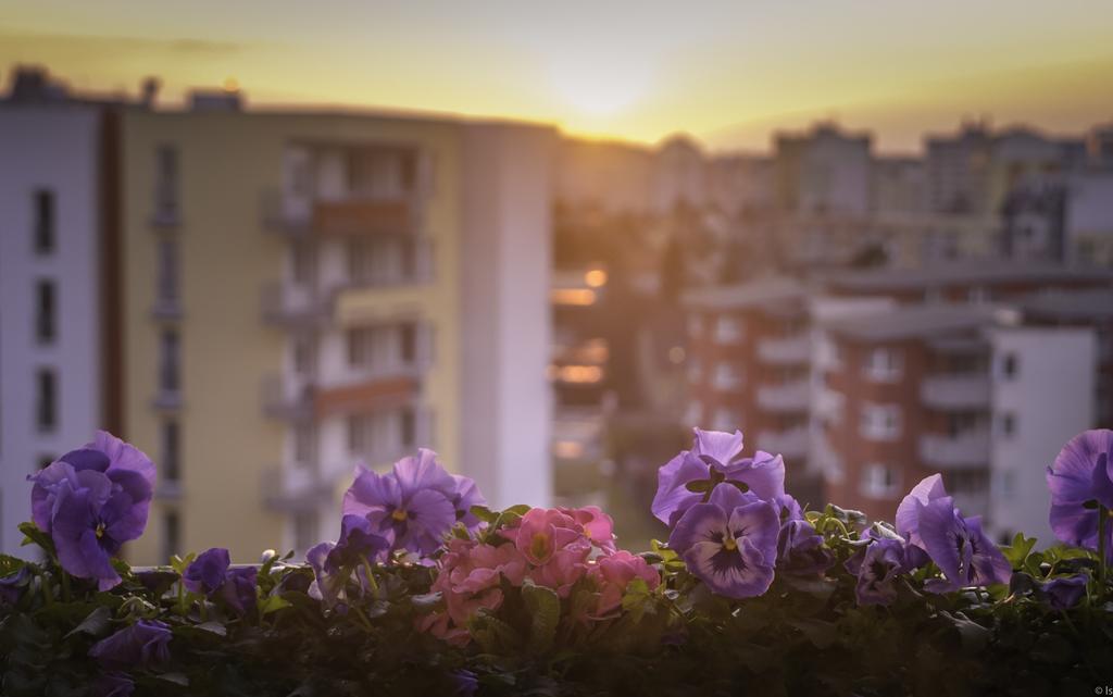 A Nice Place To Stay Apartments Praha Ruang foto